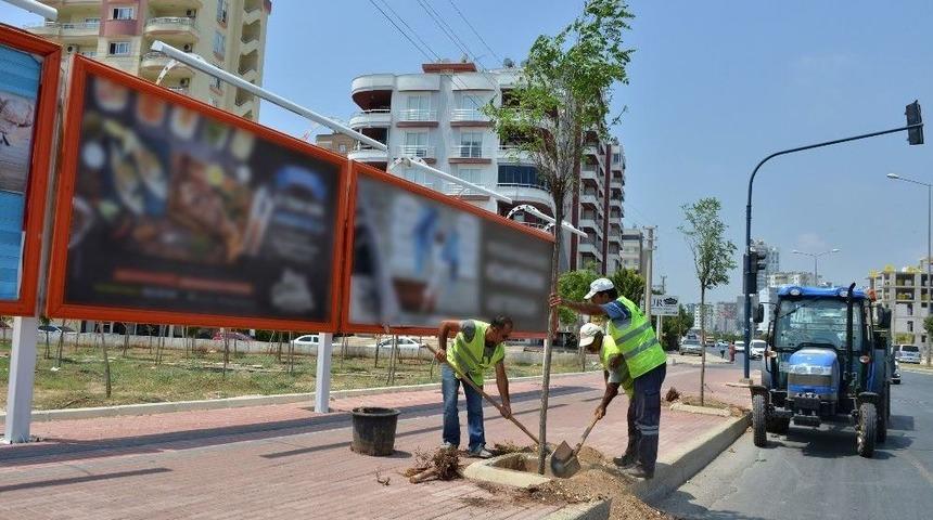 Mersin&rsquo;de Kesilen Ağa&ccedil;ların Yerine Yenileri Dikildi