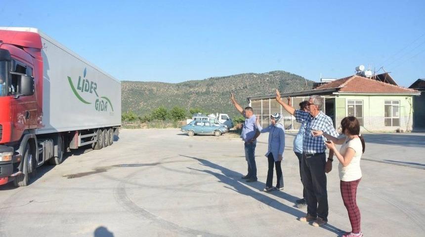 &Ccedil;ameli Domatesi Arabistan&rsquo;a Gitmek İ&ccedil;in Yola &Ccedil;ıktı