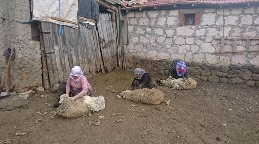 İn&ouml;n&uuml;l&uuml; Kadınların Zorlu Mesaisi Başladı