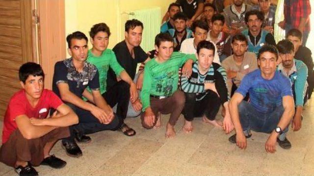 Sivas'ta Yol Uygulamasında 51 Mülteci Yakalandı