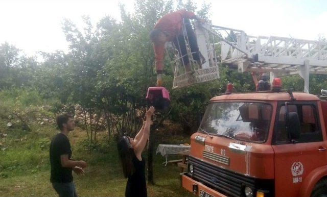 Kastamonu’da Ağaçta Mahsur Kalan Kediyi İtfaiye Kurtardı