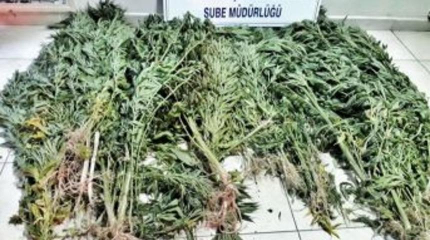 Polis 122 K&ouml;k Hint Keneviri Ele Ge&ccedil;irdi