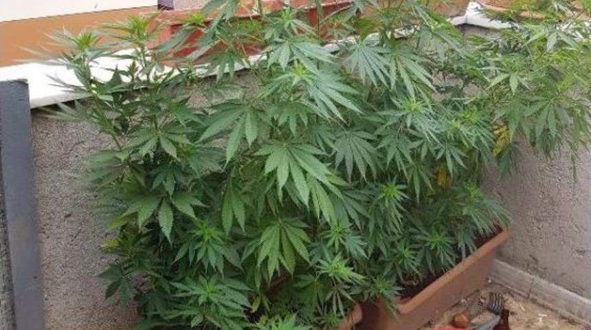 Bayrampaşa'da Uyuşturucu Operasyonu: 3 G&ouml;zaltı