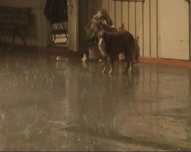 İstanbul da Sağanak Yağmur Etkili Oldu 3