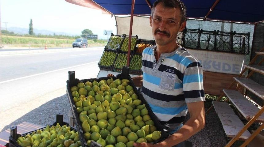 Ziraat Odası&rsquo;ndan &lsquo;erkenci İncir&rsquo; Uyarısı