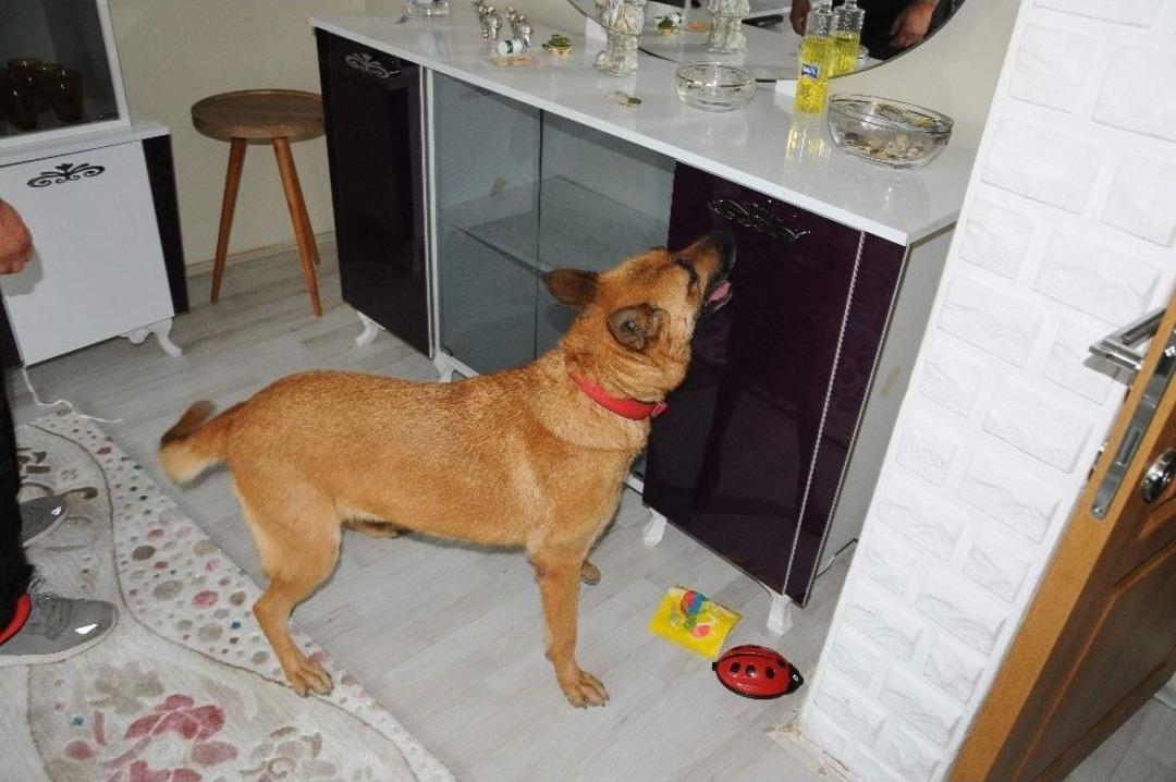 Eskişehir&rsquo;de Geniş &Ccedil;aplı Uyuşturucu Operasyonu: 43 G&ouml;zaltı