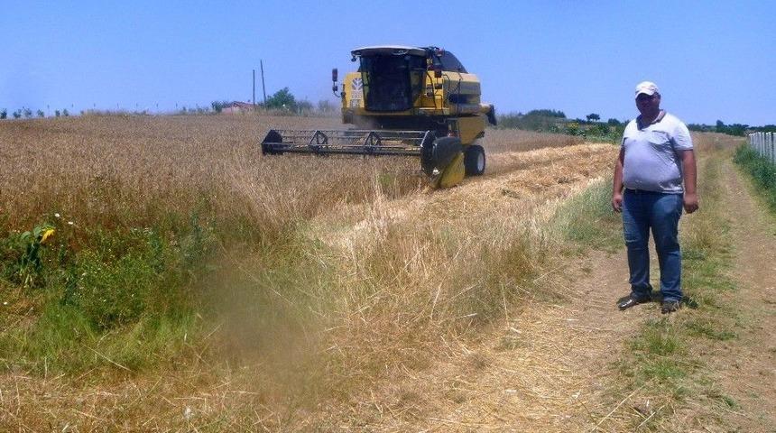 Bilecik&rsquo;te Buğday Hasadı Başladı