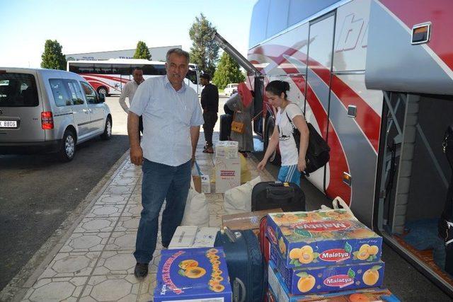 (özel Haber) Maşti’de Kayısı Yoğunluğu