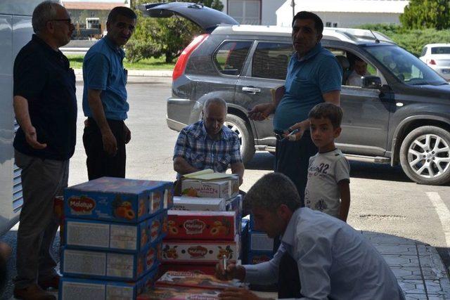 (özel Haber) Maşti’de Kayısı Yoğunluğu