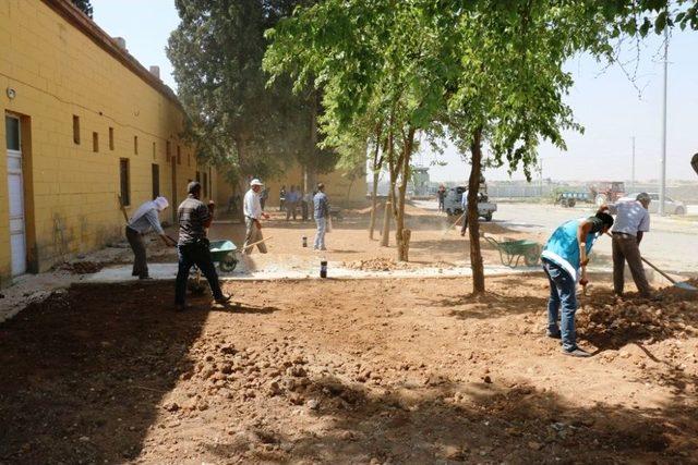 Akçakale Belediyesinden 4 Bin Metrekarelik Yeni Park