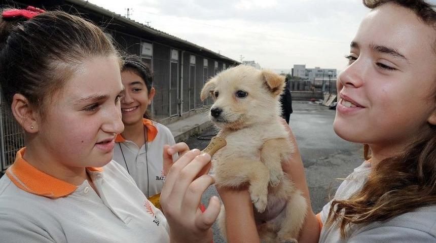 B&uuml;y&uuml;kşehir&rsquo;den Sertifikalı Pet Shop Eğitimi