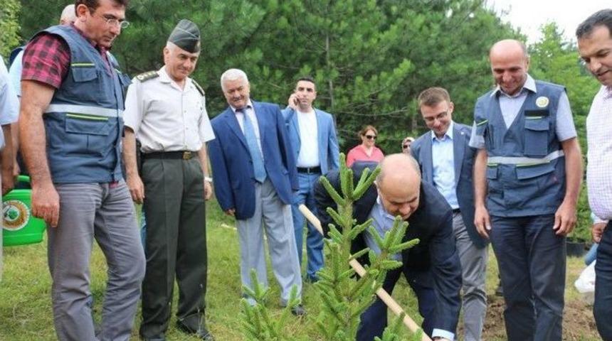 D&uuml;zce&rsquo;de 15 Temmuz Demokrasi Şehitleri Adına Hatıra Ormanı Kuruldu