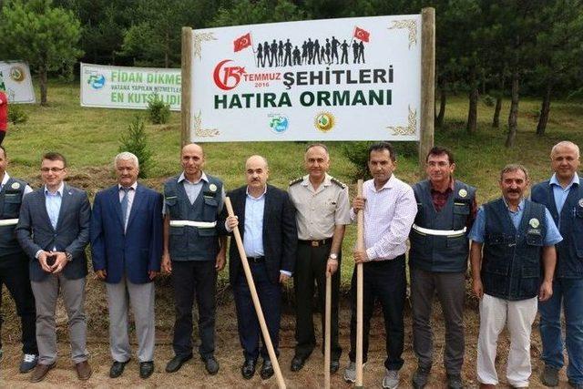 D&uuml;zce&rsquo;de 15 Temmuz Demokrasi Şehitleri Adına Hatıra Ormanı Kuruldu 1
