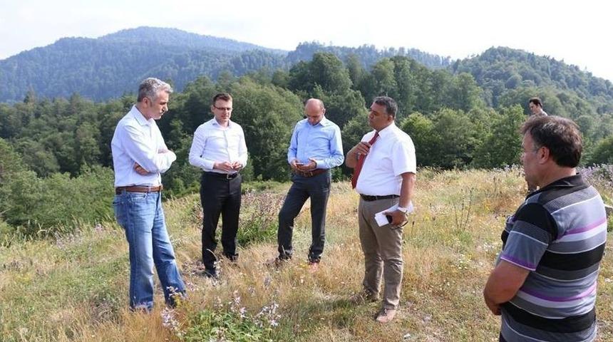 Yığılca’da Balköy Bal Üretim Ormanı Kuruluyor
