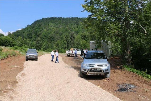 Yığılca’da Balköy Bal Üretim Ormanı Kuruluyor