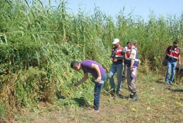 Kargılar I&ccedil;erisinde 600 Kilo Kubar Esrar Ele Ge&ccedil;irildi 2