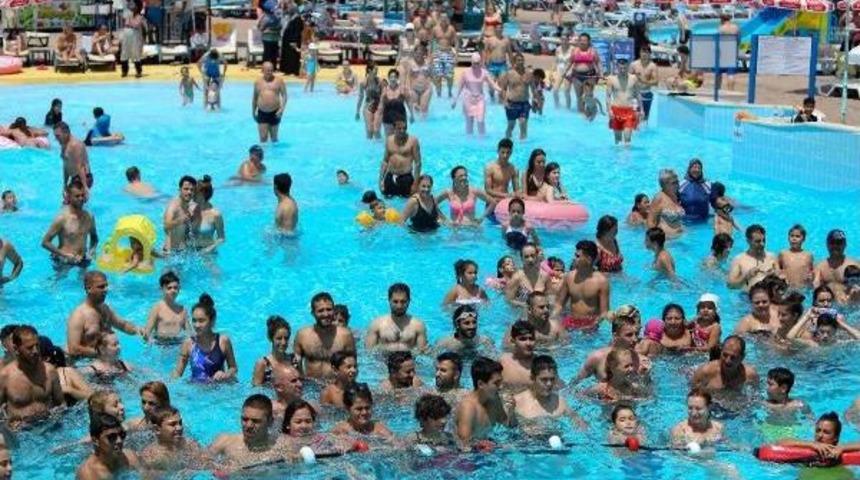 Antalya'da Sıcaktan Bunalan Havuza Koştu