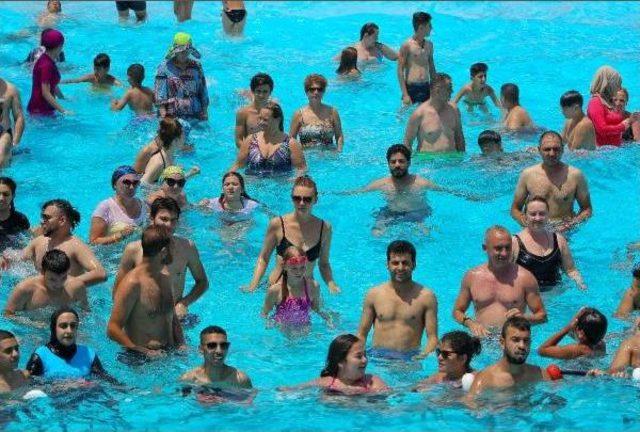 Antalya da Sıcaktan Bunalan Havuza Koştu 1