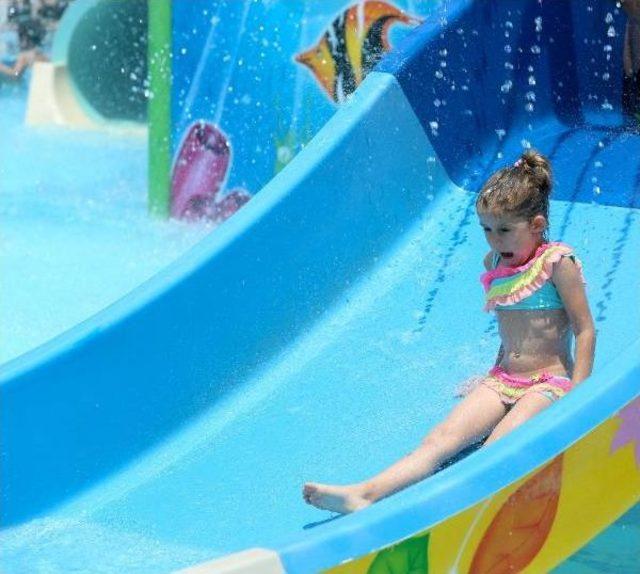 Antalya da Sıcaktan Bunalan Havuza Koştu 2