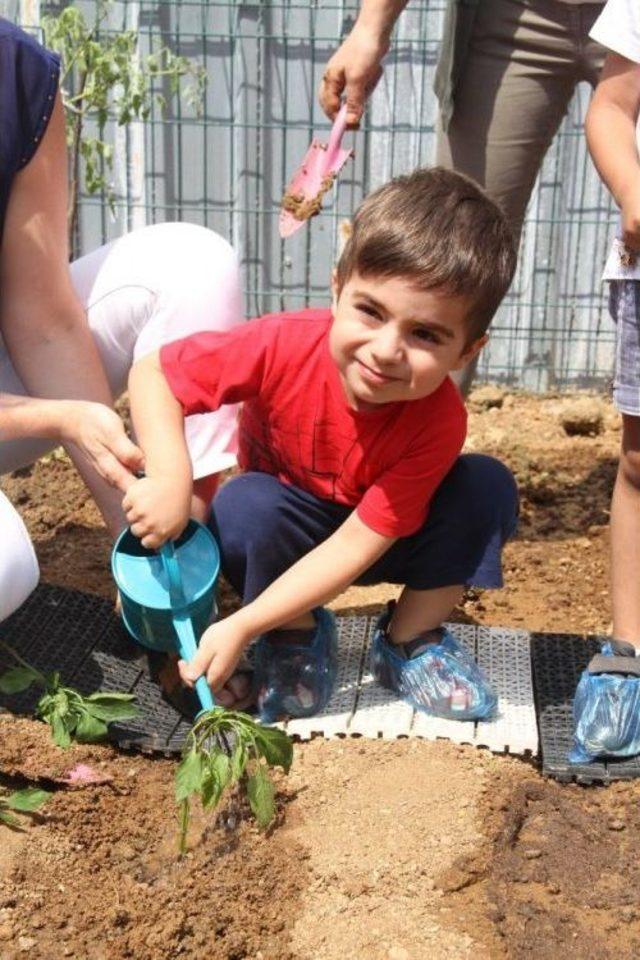 Kartal Belediyesi Kreşlerinde Hobi Bahçeleri Kuruldu