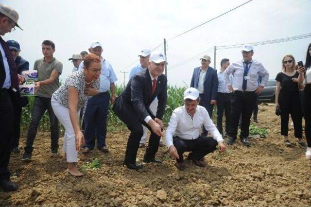 Carrefoursa, Yerli Tohumla Küçük Üreticiye Destek Vererek Ürün Fiyatlarını Indirmeyi Hedefliyor