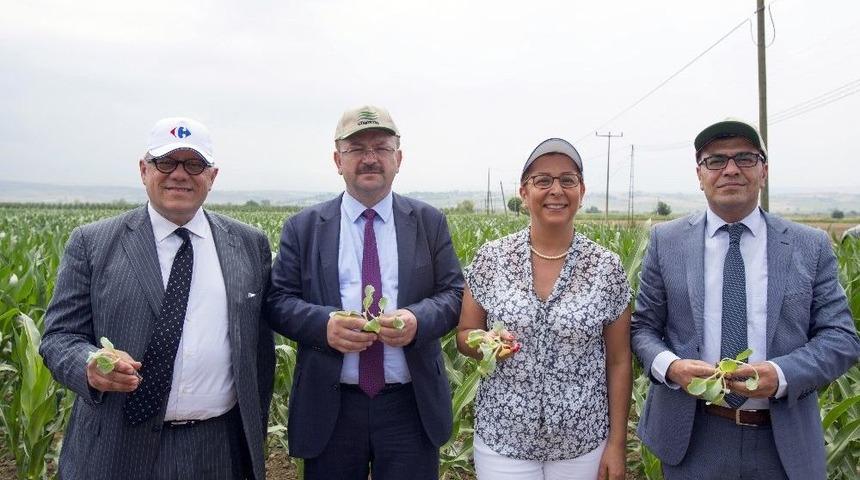 Yerli Tohumla K&uuml;&ccedil;&uuml;k &Uuml;retici Destekleniyor, &Uuml;r&uuml;n Fiyatları İndiriliyor