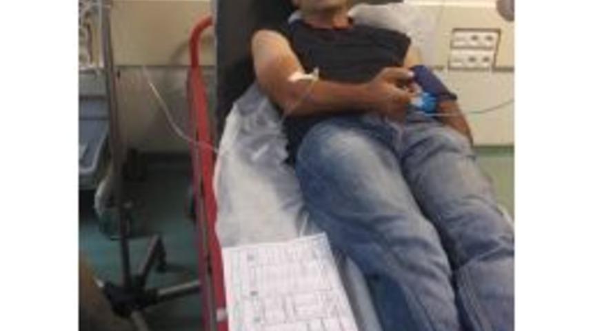 Fındık Altı Temizlerken Yılan Isırdı