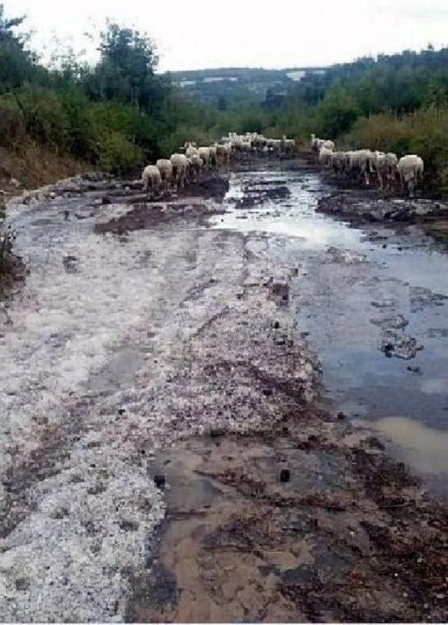 Sel Çanakkale'de Tahribata Neden Oldu (2)