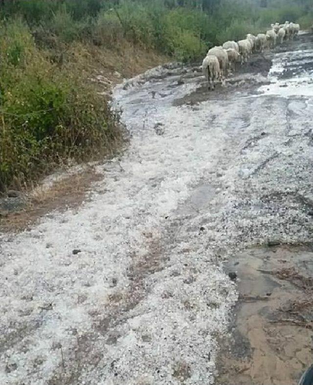 Sel Çanakkale'de Tahribata Neden Oldu (2)