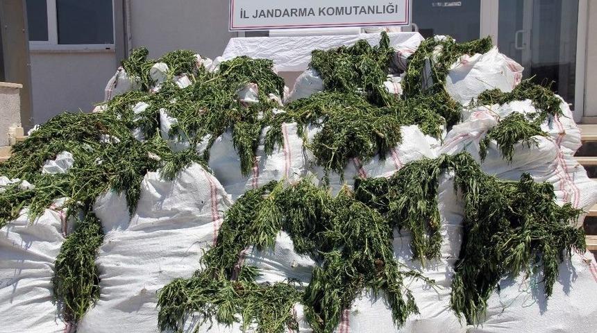 Kargılar İ&ccedil;ine Esrar Gizlemişler