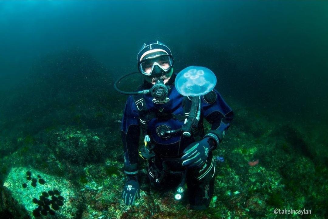 Resifler Balık Pop&uuml;lasyonunu Arttırdı