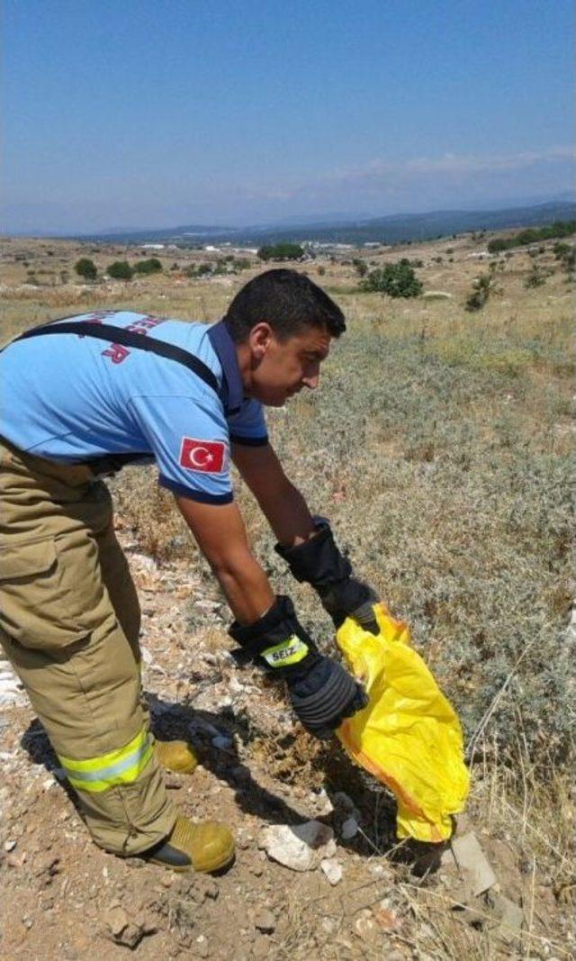 Ayvalık Kabristanda Yılan Paniği