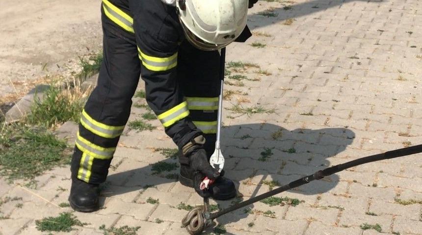 Parktaki 1.5 Metrelik Yılanı İtfaiye Ekipleri Yakaladı