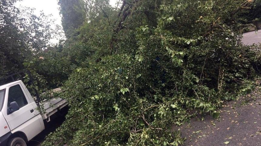 Beykoz Belediyesi Ekipleri Yağmura Karşı Sahada