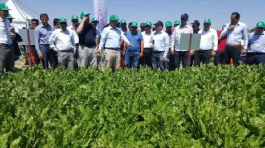 Kayseri Şeker’den Şeker Sektöründe İlk Demonstrasyon Günü Uygulaması