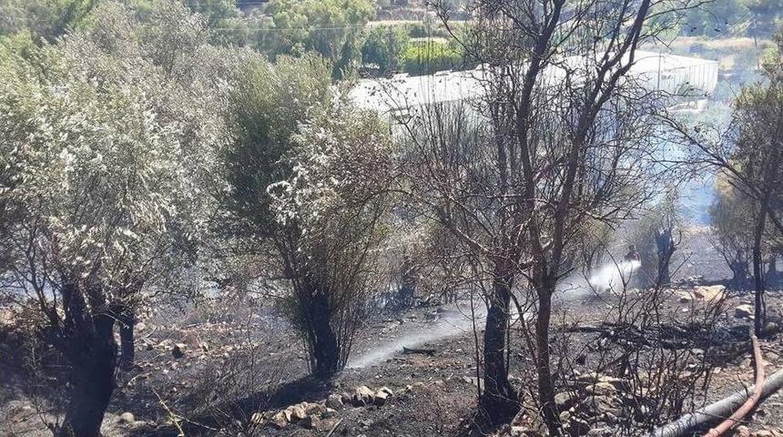 Anamur&rsquo;da Zeytinlik Yangını Korkuttu