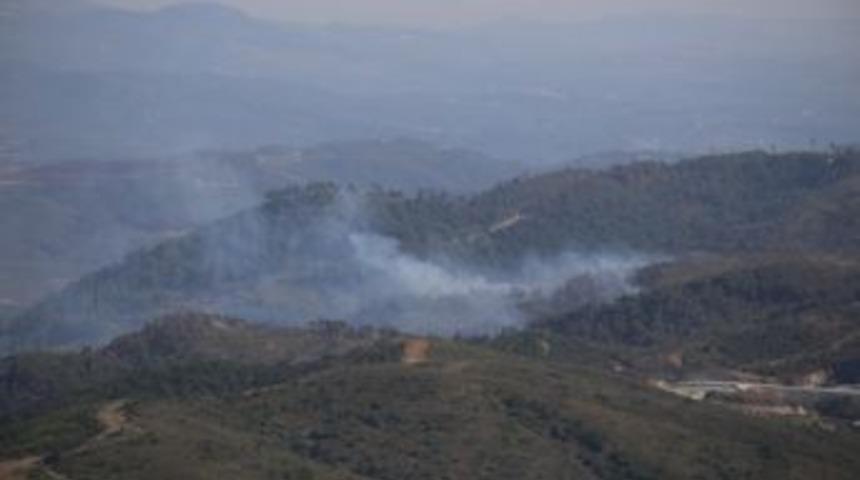 Hatay Sınırında Orman Yangını
