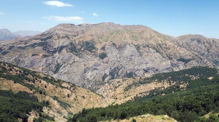 Bitlis&rsquo;te &lsquo;yeşil&rsquo; Listedeki Ter&ouml;rist &Ouml;ld&uuml;r&uuml;ld&uuml;