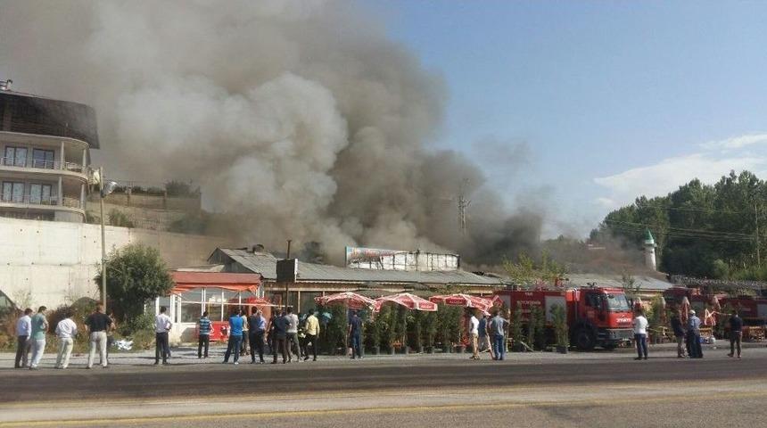 Van G&ouml;l&uuml; Sahilinde Korkutan Yangın