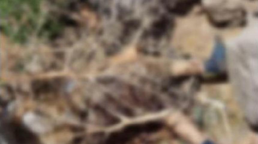 Şemdinli&rsquo;De Pkk&rsquo;Lının &Ouml;ld&uuml;r&uuml;lmesi Telsiz Konuşmasında