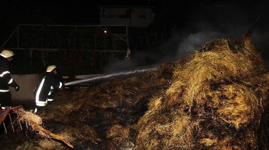 Kocaeli&rsquo;de Ot Yangını Korkuttu