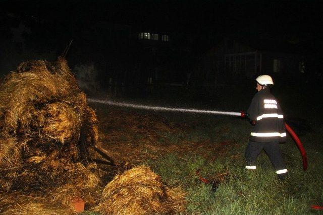 Kocaeli’de Ot Yangını Korkuttu