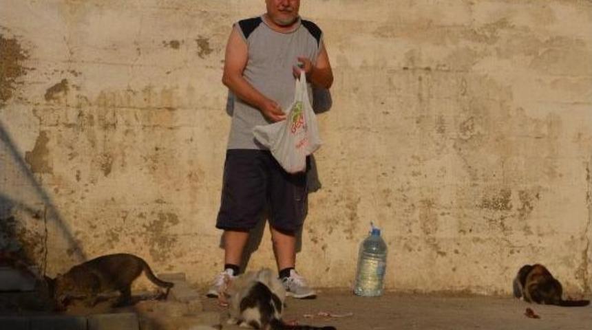 Hayvansever Emekli, Maaşıyla Sokak Kedilerini Besliyor