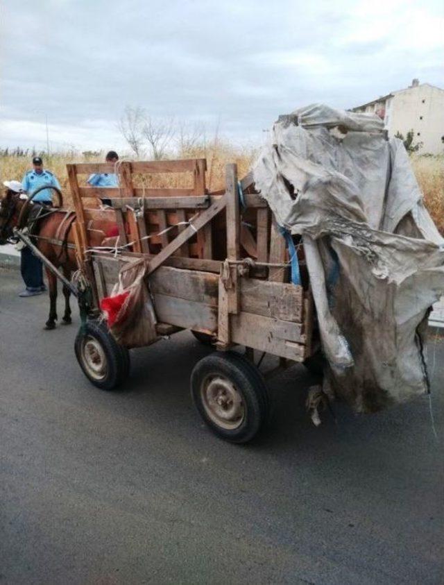 Trafiği Tehlikeye Sokan At Arabaları Toplanıyor