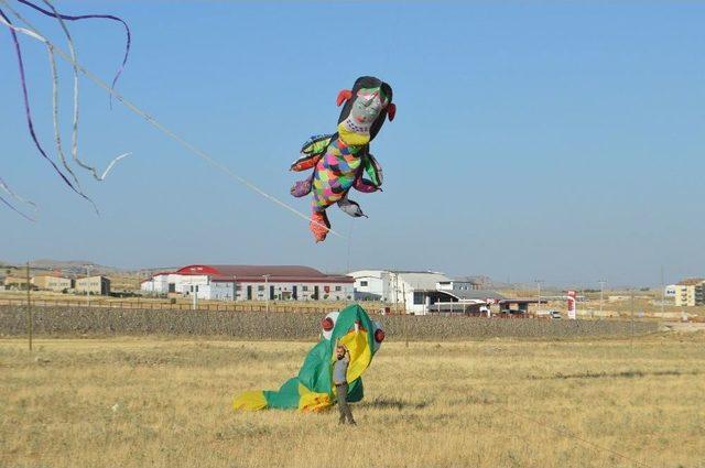 Mardinli U&ccedil;urtma Ustasının Hedefi Guinness 1