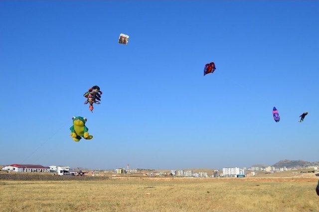 Mardinli U&ccedil;urtma Ustasının Hedefi Guinness 2