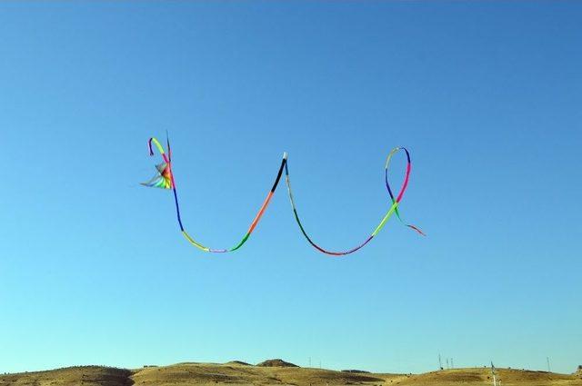 Mardinli U&ccedil;urtma Ustasının Hedefi Guinness 3