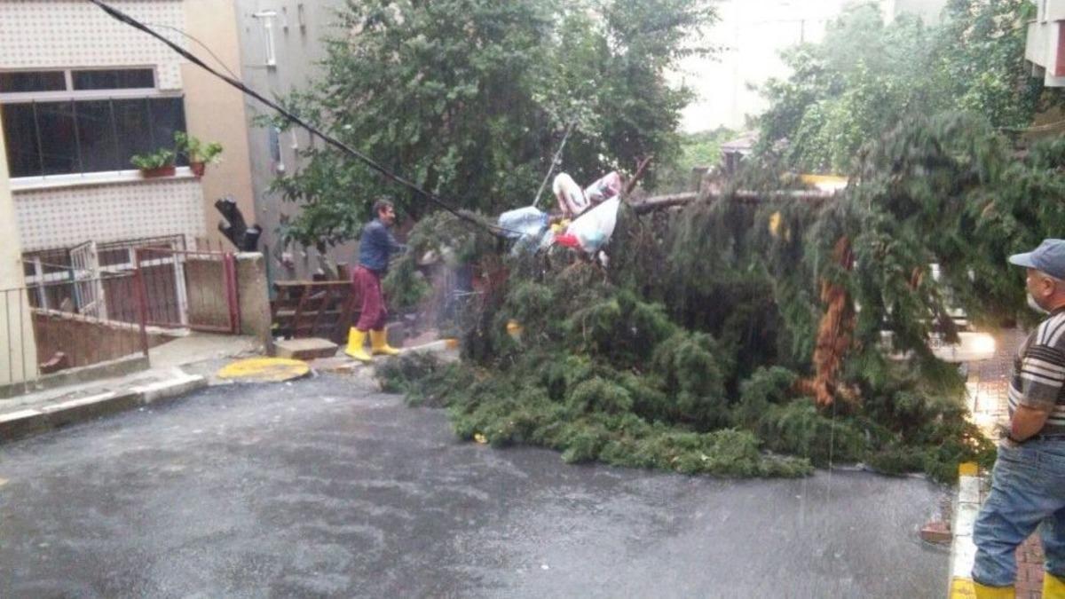 Kuvvetli Yağış Sonrası Ey&uuml;p&rsquo;te Hummalı &Ccedil;alışma