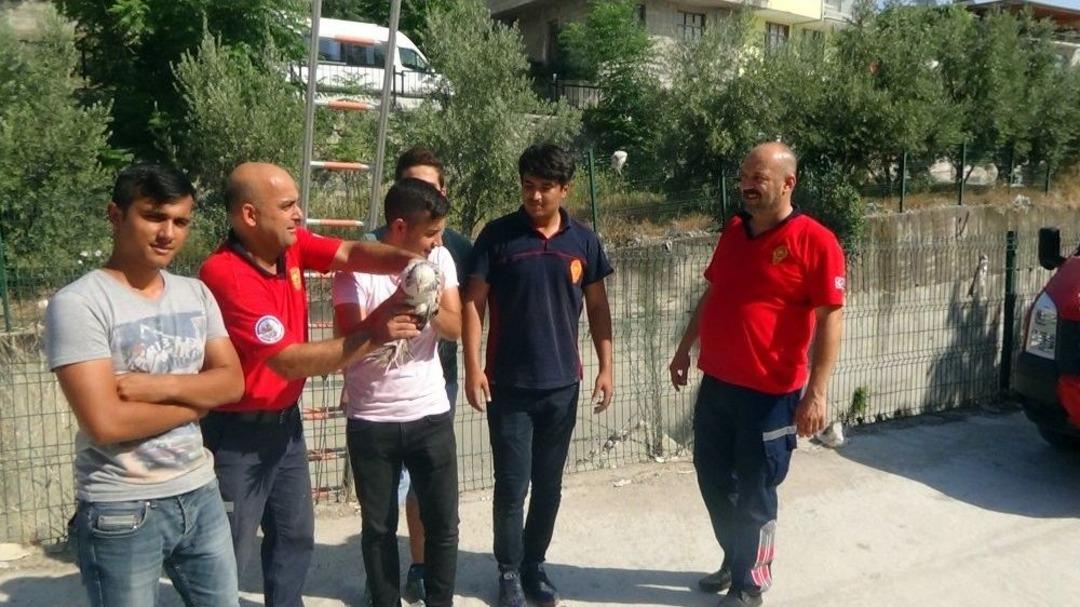 İtfaiyeden Tavuk Kurtarma Operasyonu