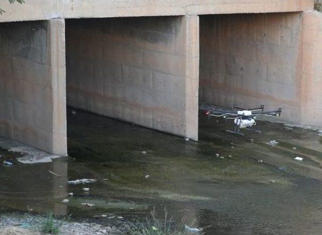 Şanlıurfa'da Drone Ile Haşere Ilaçlaması